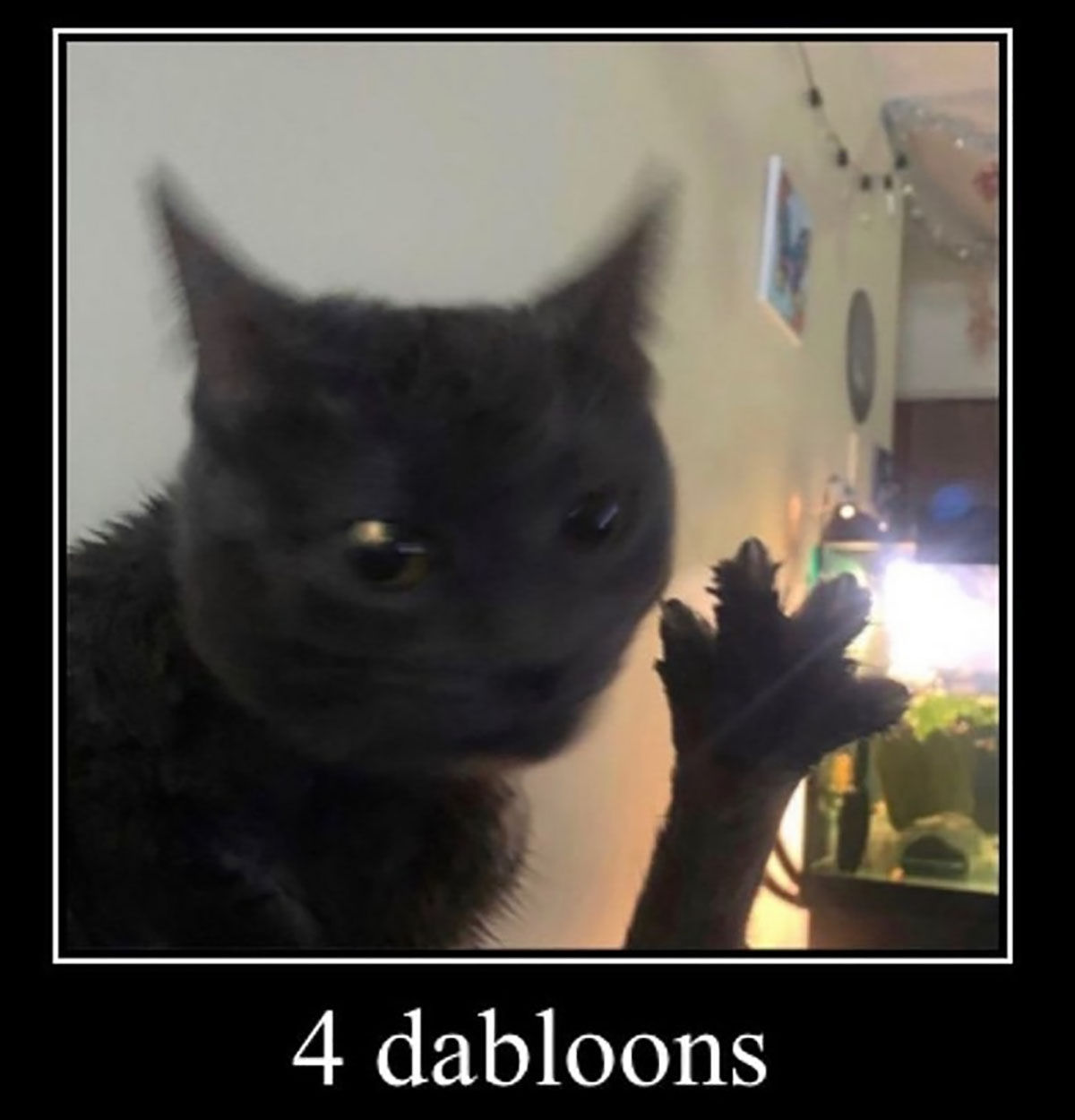 4 dabloons