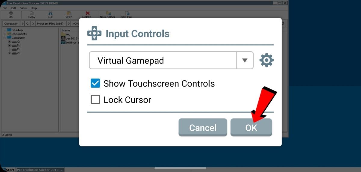 Activa el Virtual Gamepad y pulsa OK