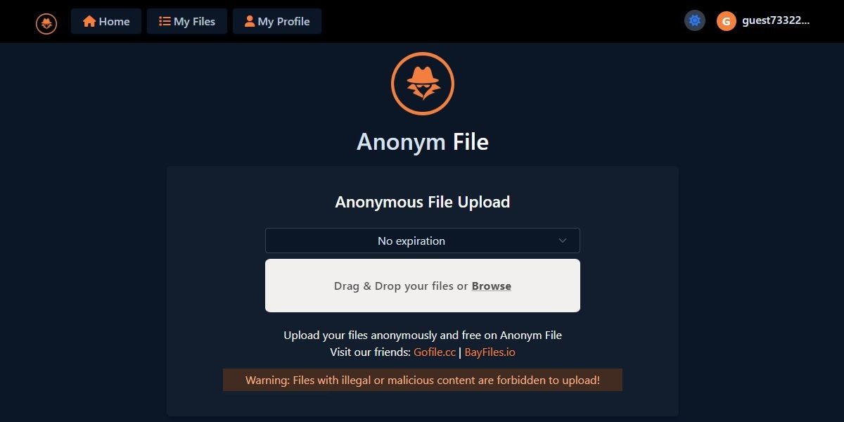 Anonym File una alternativas a Anonfiles