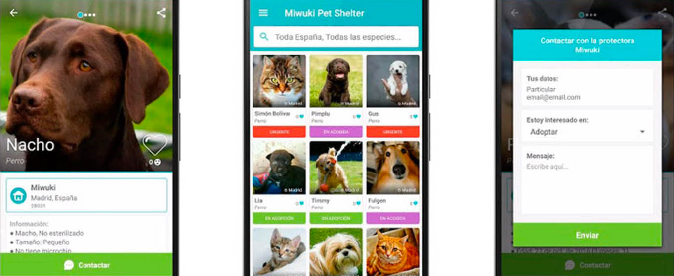 Aplicacion adoptar animales Android