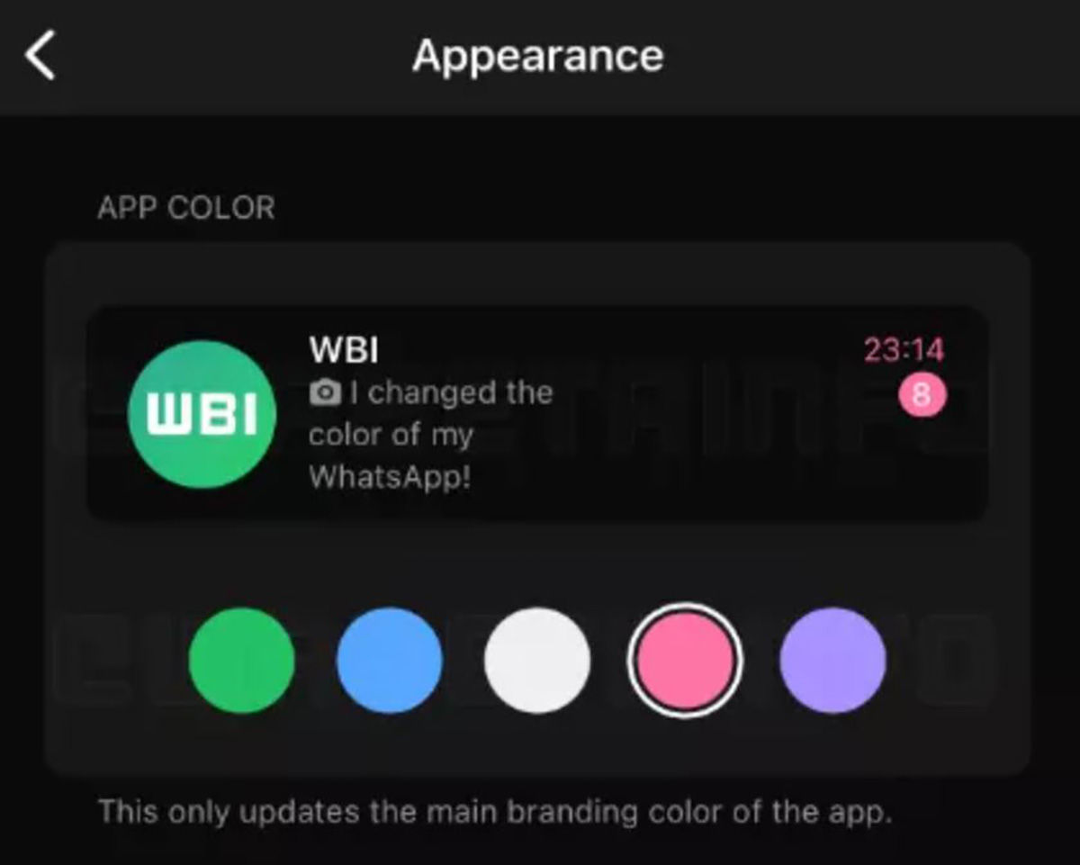Beta de WhatsApp para iPhone revela posibles temas para personalizar la app
