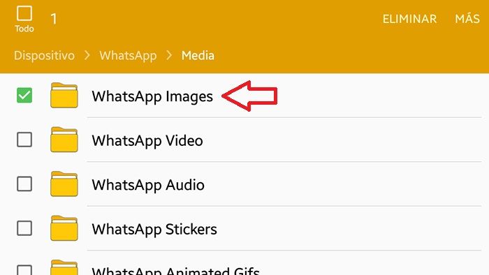 Borrar archivos basura WhatsApp paso 5