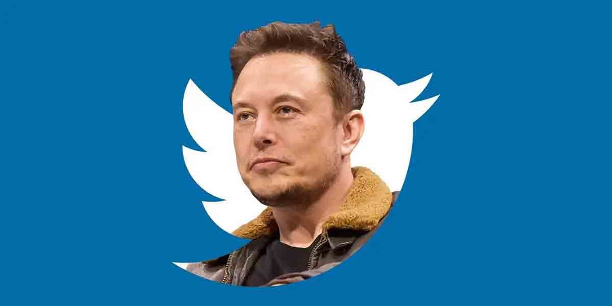 Cambios Twitter Elon Musk