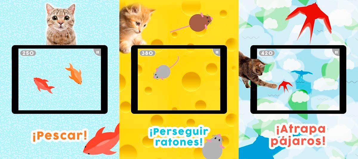 protesta residuo a lo largo Los 5 mejores juegos de móvil para gatos
