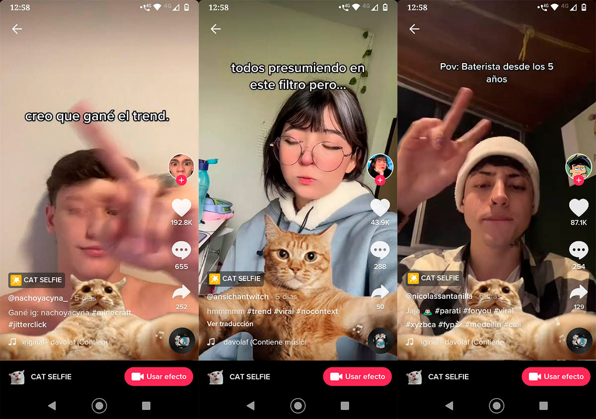 Cat Selfie efecto TikTok
