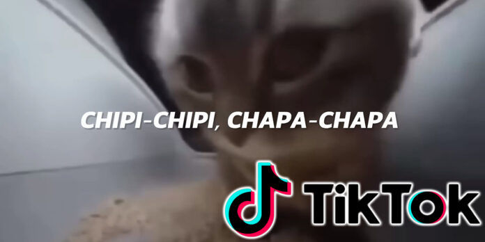 Chipi chipi chapa chapa el origen de la canción viral de TikTok