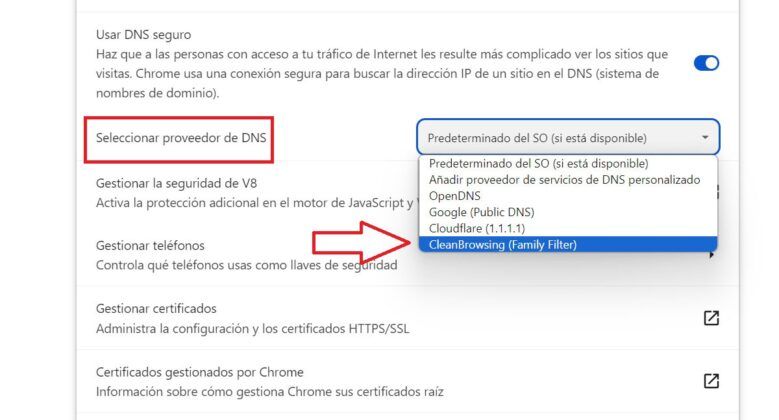 Cómo bloquear páginas para adultos en Google Chrome con DNS