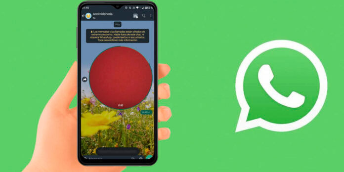 Cómo descargar un mensaje de vídeo de WhatsApp en el móvil