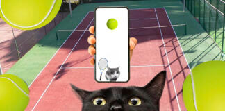 Cómo jugar al tenis con el gato del vídeo de TikTok
