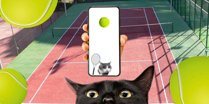 Cómo jugar al tenis con el gato del vídeo de TikTok