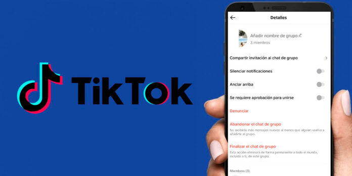 Cómo silenciar las notificaciones de un chat grupal de TikTok