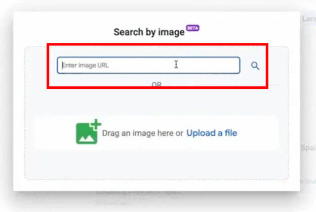 Cómo utilizar la búsqueda de imágenes en Fact Check Explorer 2