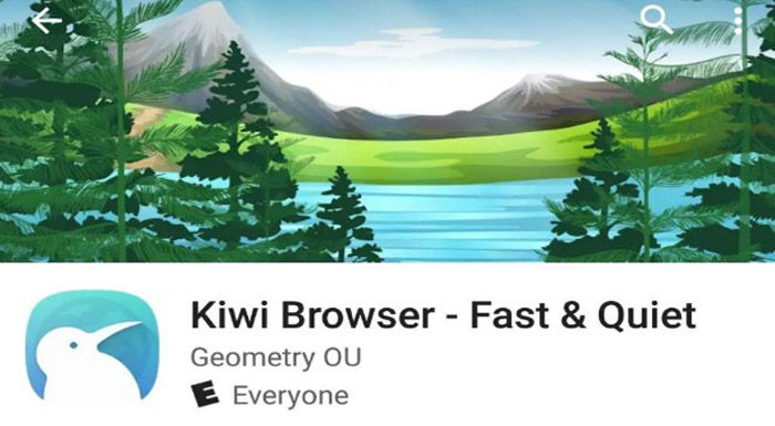 Conoce Kiwi Browser