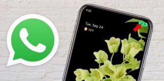 Descubre si WhatsApp accede a tu micro o camara con este truco