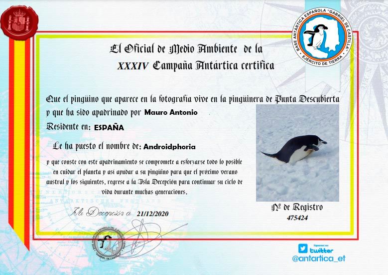 Diploma apadrinamiento pinguino