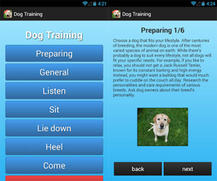 Dog trainning