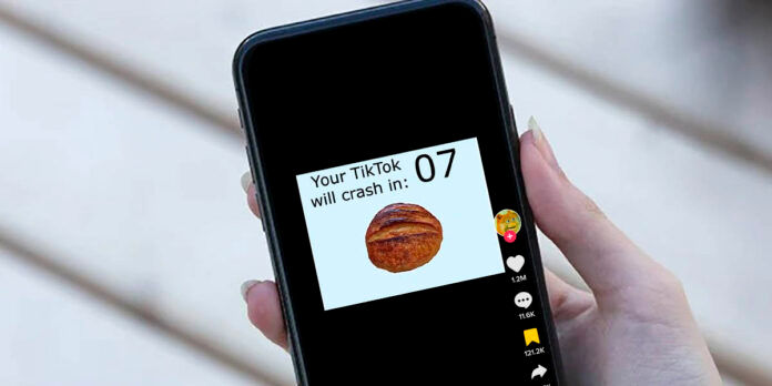 Este video de un pan girando puede crashear tu app de TikTok