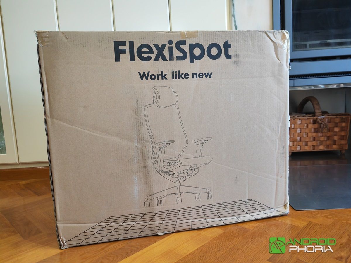 Flexispot BS12 Pro caja