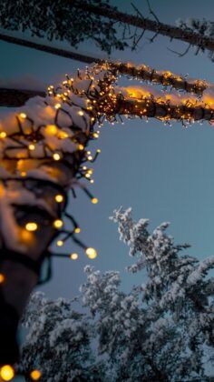 Fondo de pantalla arbol de Navidad nevado