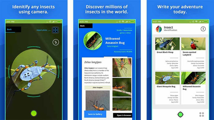 Insect Identifier para Android