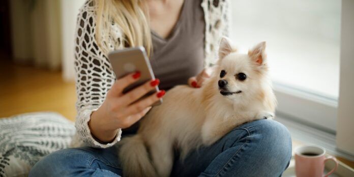 Las 10 mejores aplicaciones para mascotas en Android