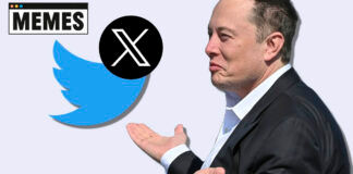 Los mejores memes de Twitter “X”, el radical cambio de la red social