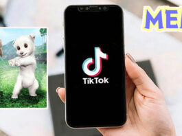 Meme de los perros bailando en TikTok que significa y cual es su origen