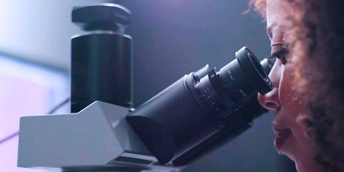 Microscopio de Google para detectar cancer