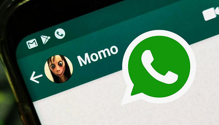 Momo WhatsApp