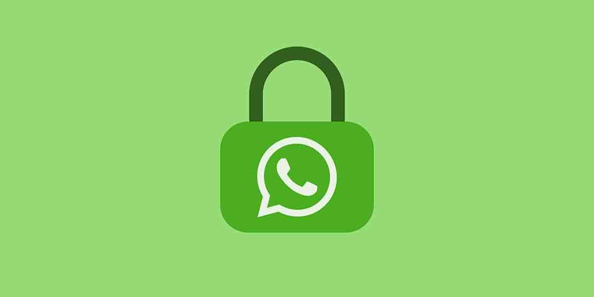Motherboard, la app que espía WhatsApp por culpa suya