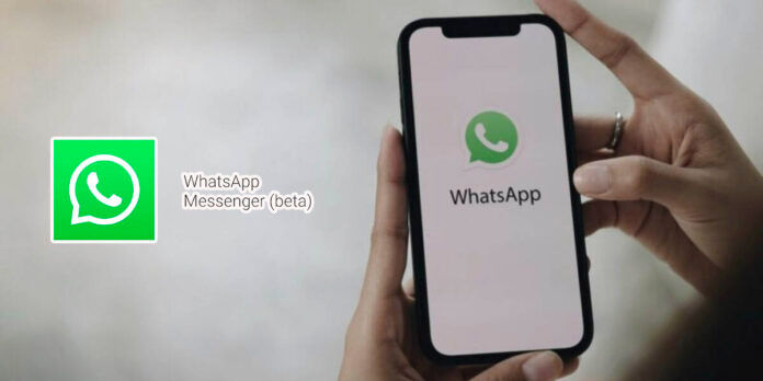 No puedo entrar en WhatsApp Beta cómo solucionarlo