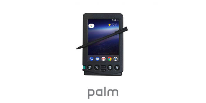 Palm Pilot