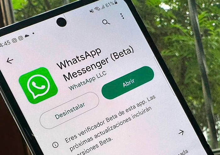 Por que WhatsApp Beta no abre en Android