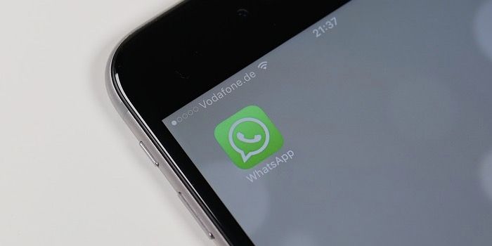 Solución: WhatsApp 2.17.350 no se abre