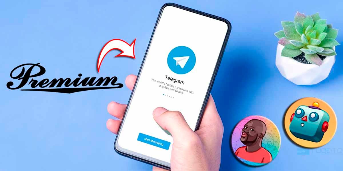 Telegram Premium suscripción contenido exclusivo