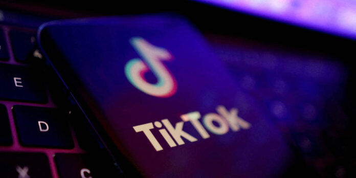 TikTok prohibido belgica 6 meses
