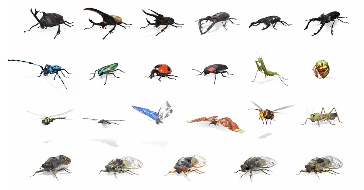 Todos los insectos AR de Google