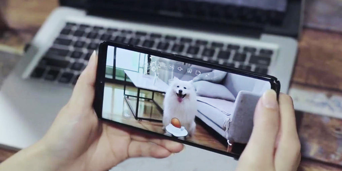Vigilador de mascotas de Xiaomi