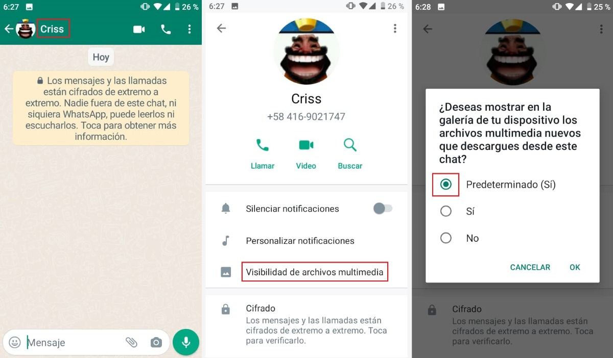 Visibilidad de medios de WhatsApp sin activar - de contactos individuales