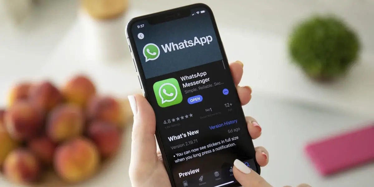 WhatsApp se cierra en iOS solucion