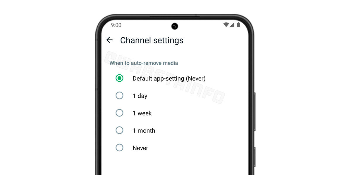 Whatsapp permitirá borrar automaticamente multimedia canales