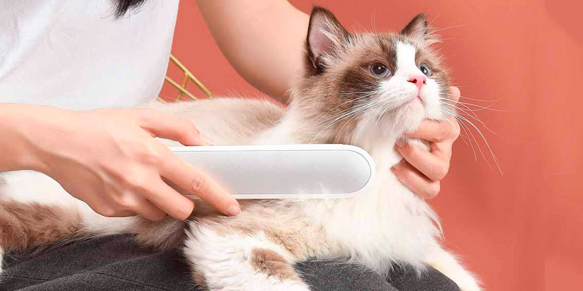 Xiaomi Carno cepillo esterilizador para mascotas