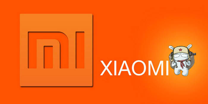 3 Razões pelas quais a Xiaomi deve criar um Nexus em 2017 1