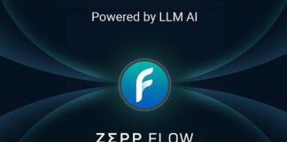 Zepp-flow-que-es