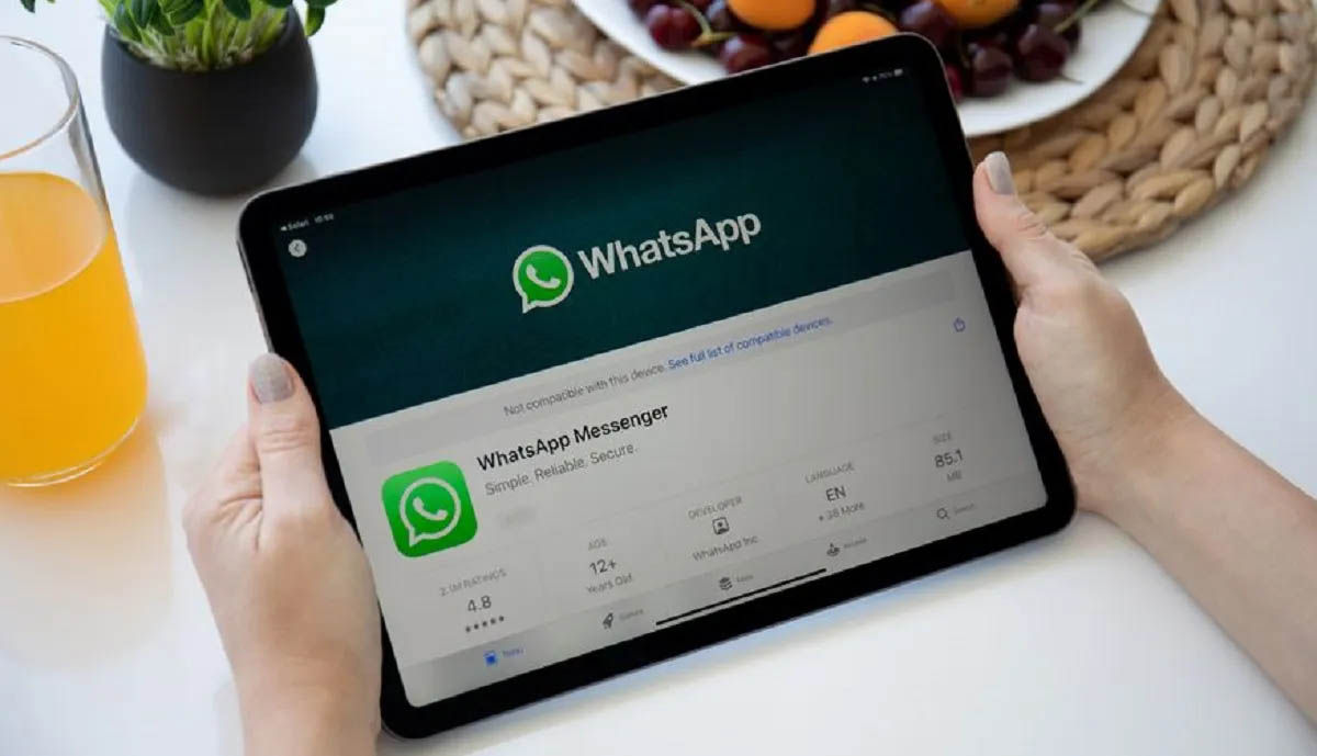app nativa whatsapp para ipad podria estar en desarrollo