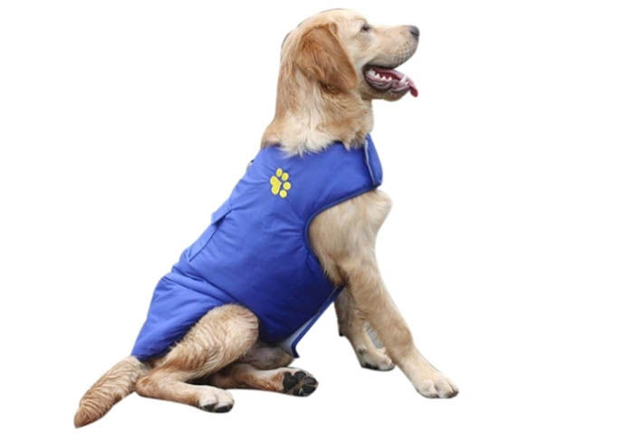 chaqueta impermeable para perro