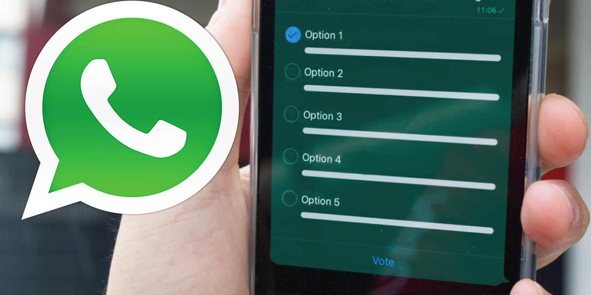 encuestas en Whatsapp