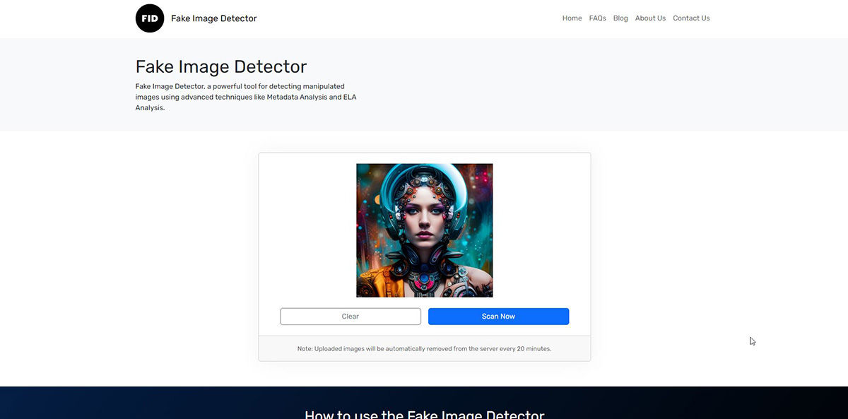fake image detector