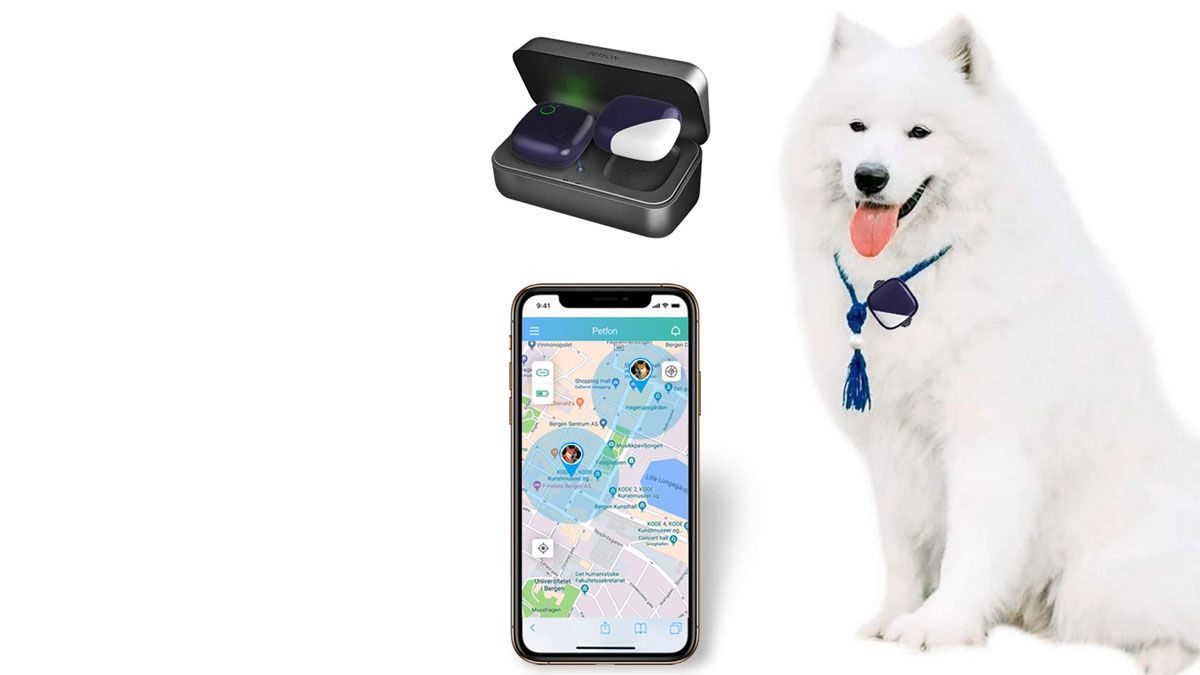 GPS para perros Petfon