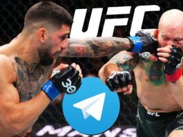grupos canales de Telegram para ver la UFC en vivo